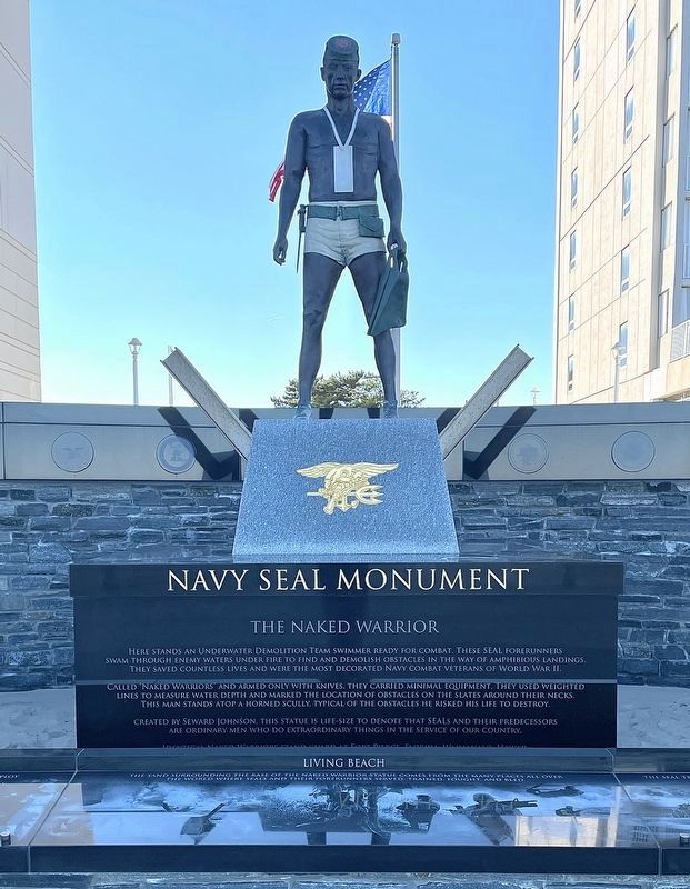 Navy <small>SEAL</small> Monument image. Click for full size.