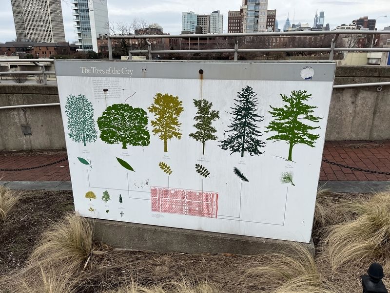 The Trees of the City side of the marker image. Click for full size.