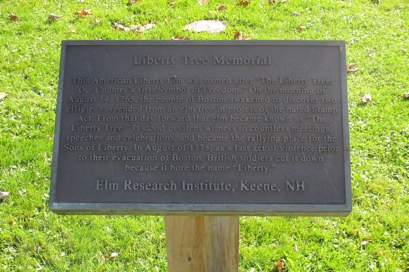 Liberty Tree Memorial plaque. Click for full size. Liberty Tree Memorial plaque image. Click for full size.