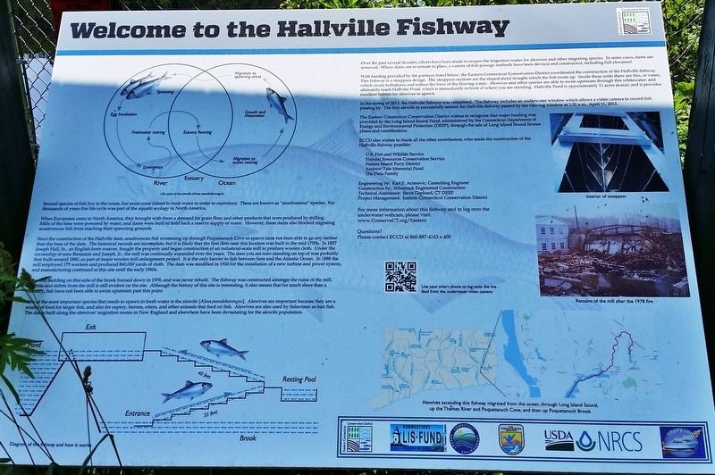 Welcome to the Hallville Fishway Marker image. Click for full size.