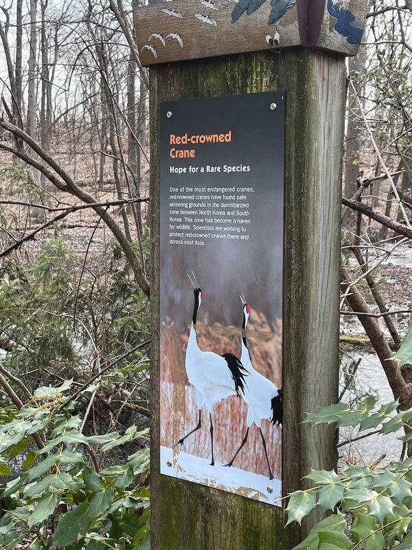 Hope for a Rare Species Marker. Click for full size. Hope for a Rare Species Marker image. Click for full size.