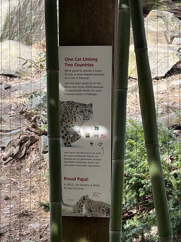 One Cat Linking Two Countries Marker. Click for full size. One Cat Linking Two Countries Marker image. Click for full size.