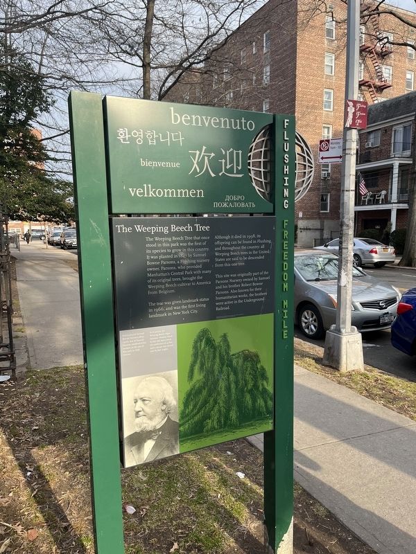 The Weeping Beech Tree Marker image. Click for full size.
