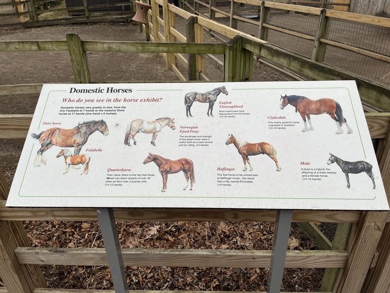 Domestic Horses Marker image. Click for full size.