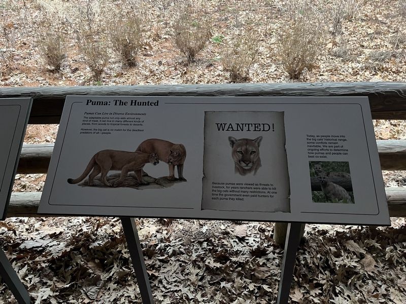 Puma: The Hunted Marker image. Click for full size.