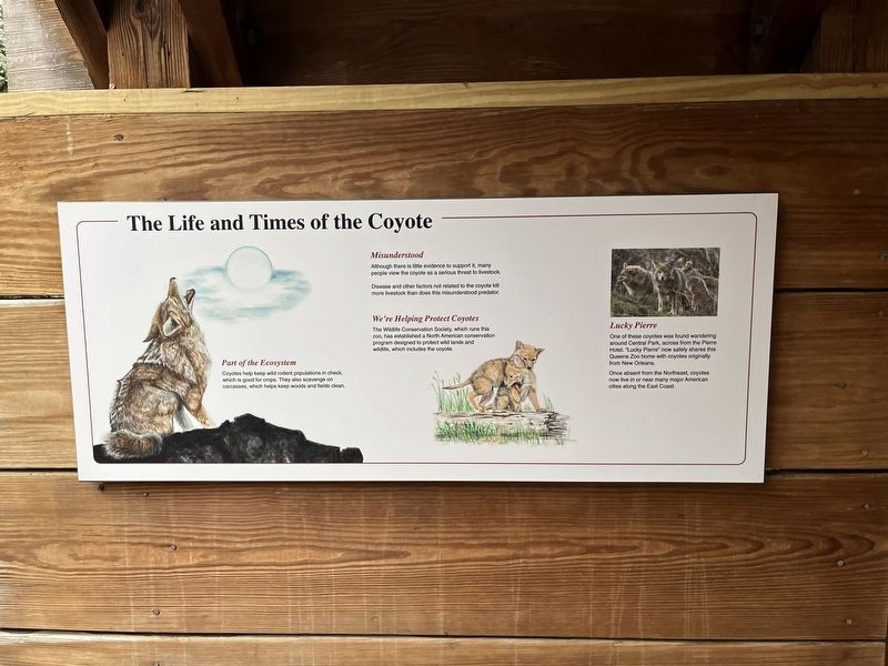 The Life and Times of the Coyote Marker image. Click for full size.