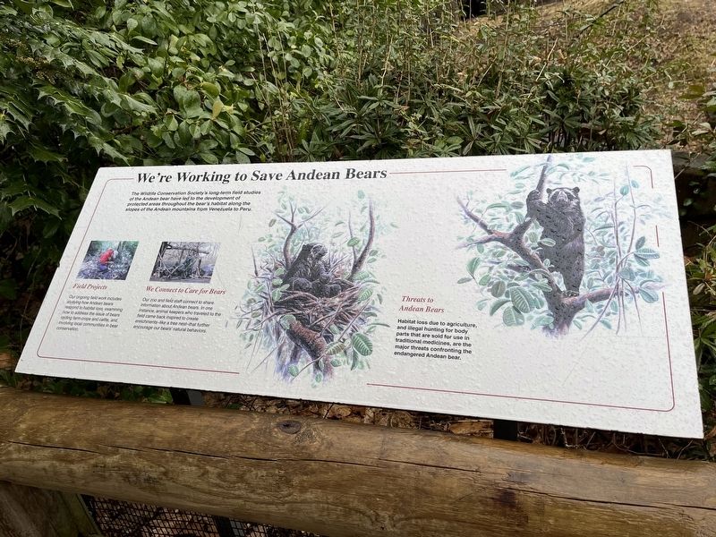 We're Working to Save Andean Bears Marker image. Click for full size.
