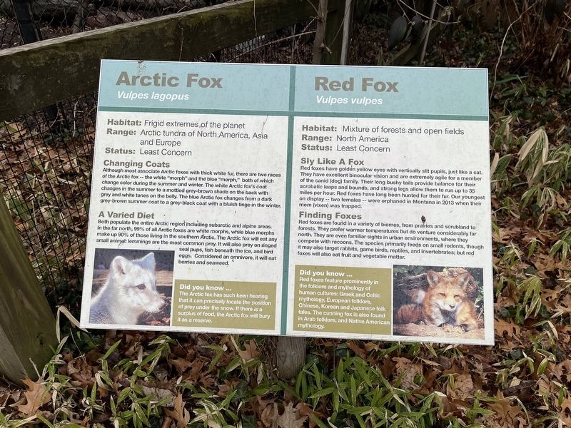 Arctic Fox / Red Fox Marker image. Click for full size.