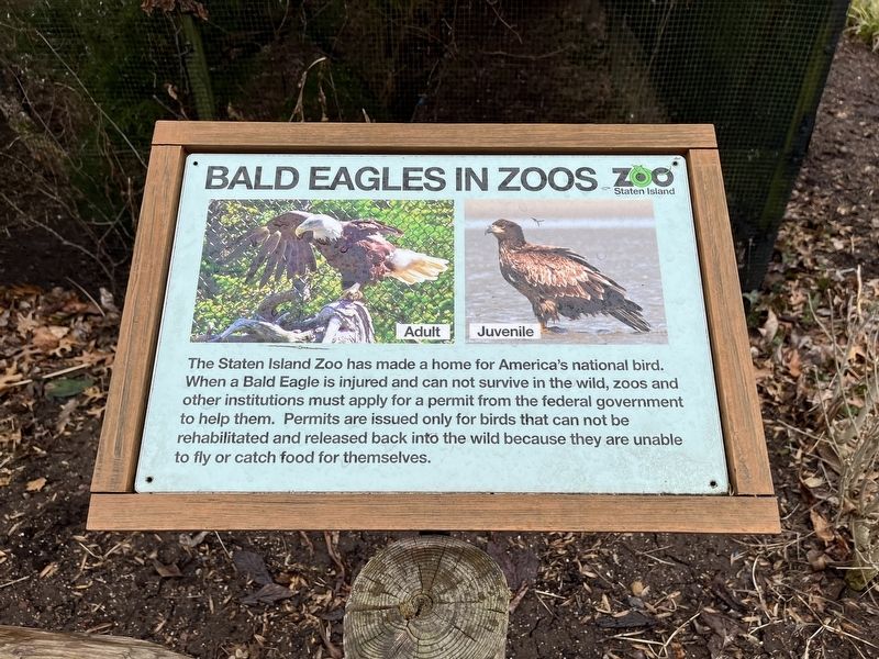Additional nearby interpretive sign. Click for full size. Additional nearby interpretive sign image. Click for full size.