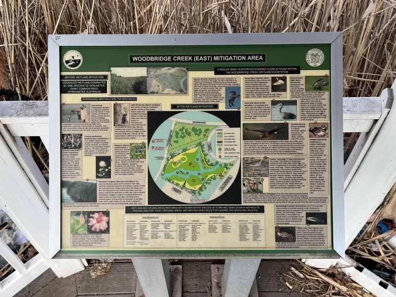Woodbridge Creek (East) Mitigation Area Marker. Click for full size. Woodbridge Creek (East) Mitigation Area Marker image. Click for full size.
