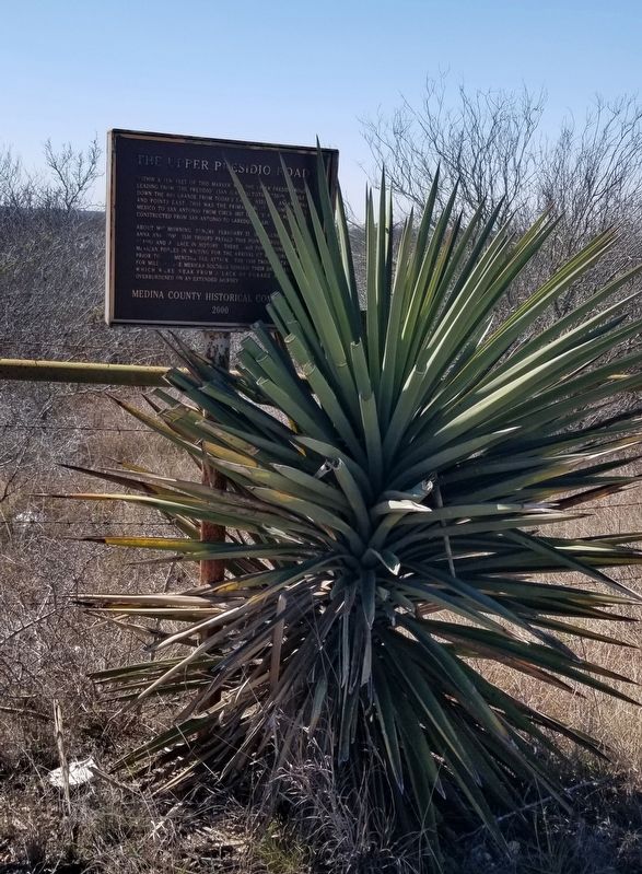 The Upper Presidio Road Marker along the highway image. Click for full size.