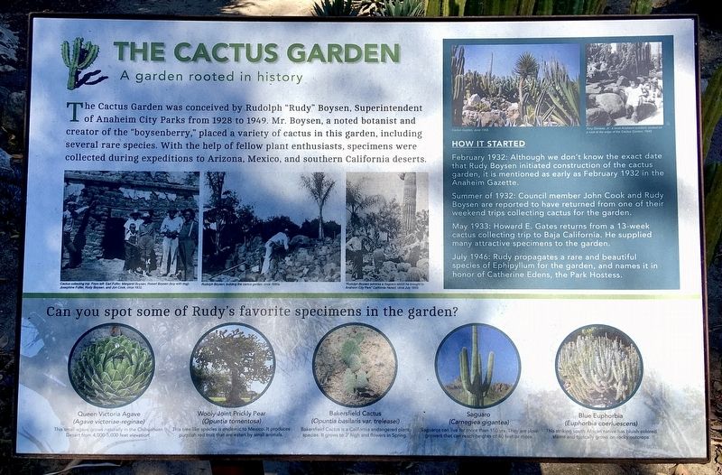 Boysen Cactus Garden Marker image. Click for full size.