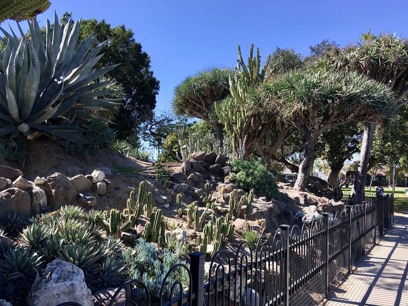 Boysen Cactus Garden image. Click for full size.