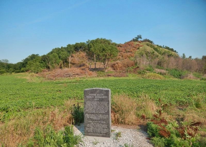 Possum Hollow Wildlife Management Area Marker image. Click for full size.