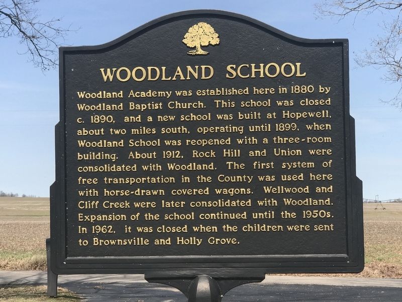 Woodland School Marker side image. Click for full size.
