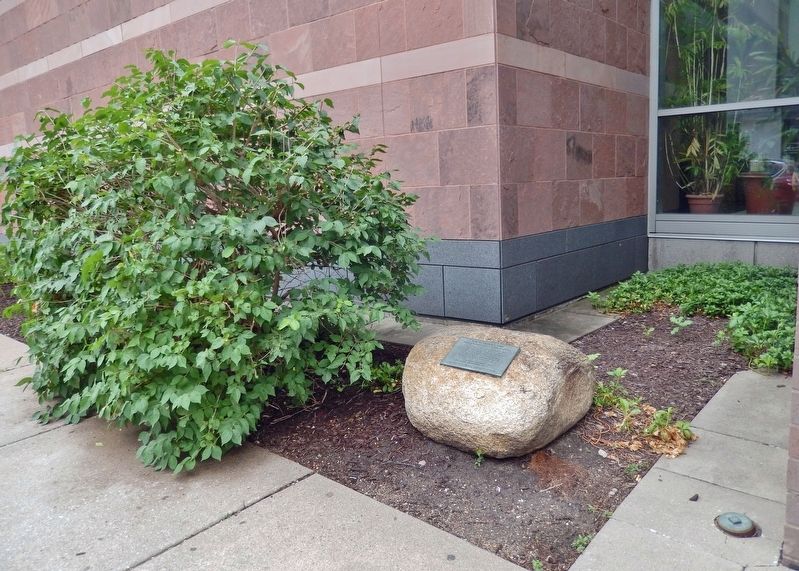 Site of World's First Educational TV Station Marker image. Click for full size.