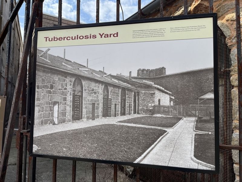 Tuberculosis Yard Marker image. Click for full size.