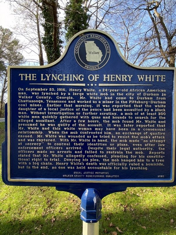 The Lynching of Henry White / Racial Injustice in America Marker image. Click for full size.