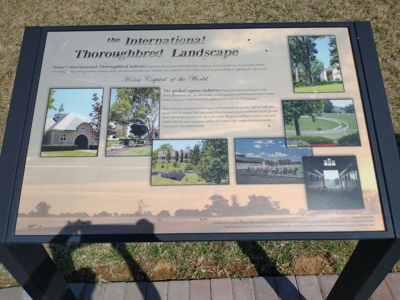 The International Thoroughbred Landscape Marker image. Click for full size.