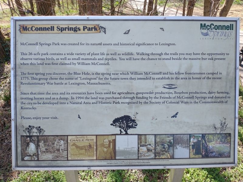 McConnell Springs Park Marker image. Click for full size.