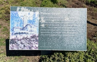 Persian Carpet Marker. Click for full size. Persian Carpet Marker image. Click for full size.