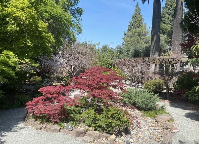 Kato Memorial Garden - overview image. Click for full size.