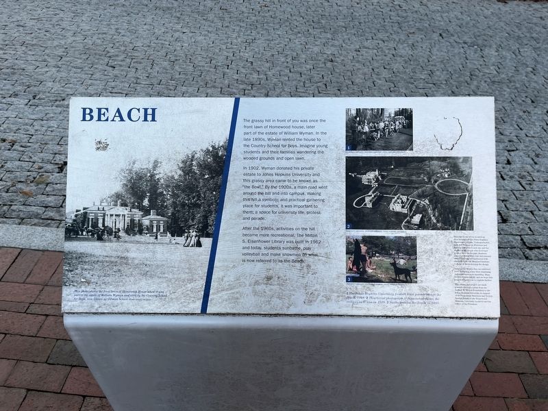 Beach Marker image. Click for full size.