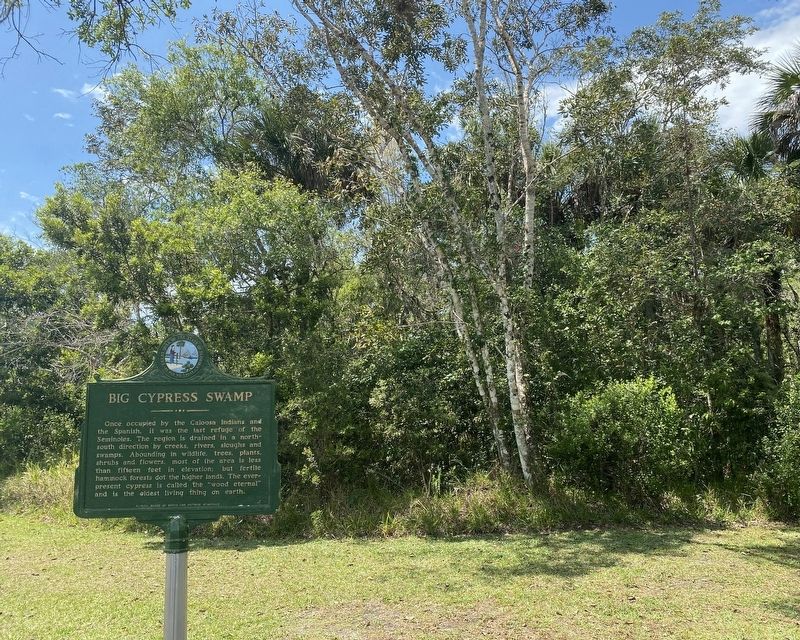 Big Cypress Swamp Marker image. Click for full size.