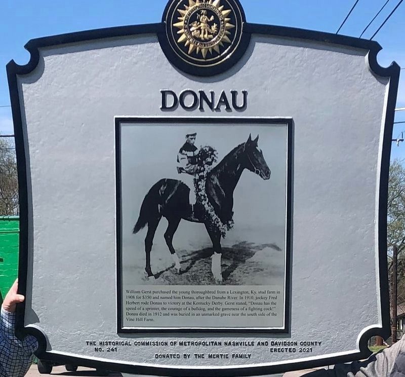 Donau - 1910 KY Derby Winner. Click for full size. Donau - 1910 KY Derby Winner image. Click for full size.