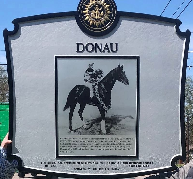 Donau - 1910 KY Derby Winner image. Click for full size.