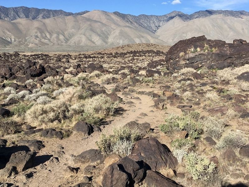 Trail to Fossil Falls image. Click for full size.