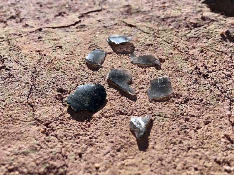 Obsidian Flakes image. Click for full size.