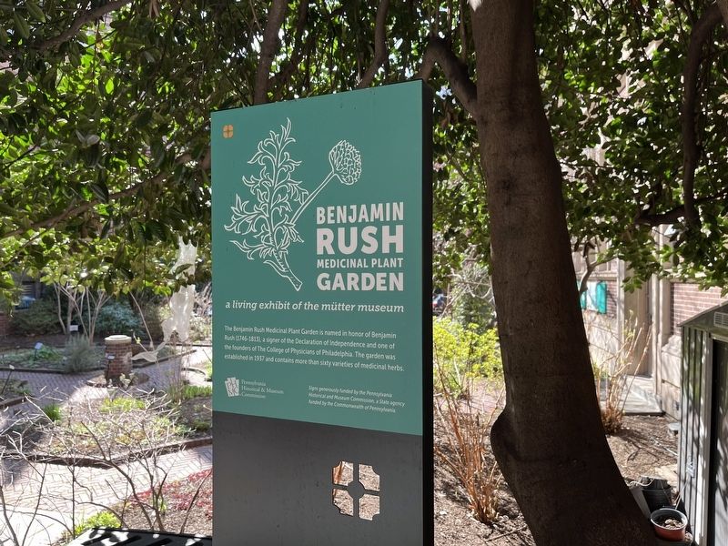 Benjamin Rush Medicinal Plant Garden Marker image. Click for full size.