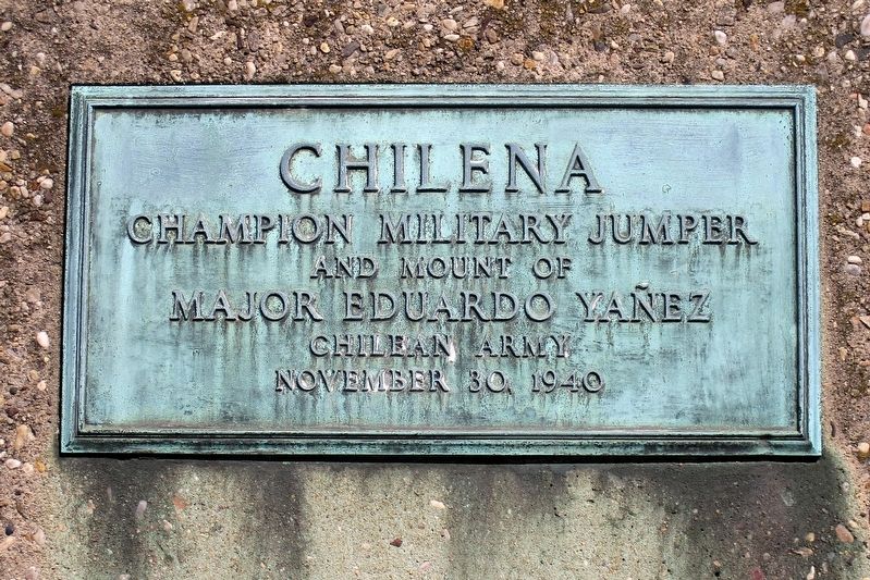 Chilena plaque image. Click for full size.