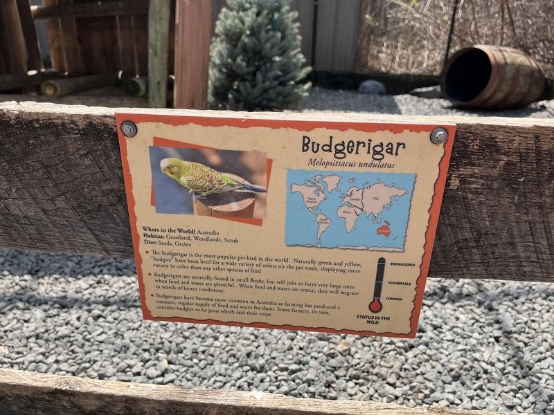 Budgerigar Marker image. Click for full size.