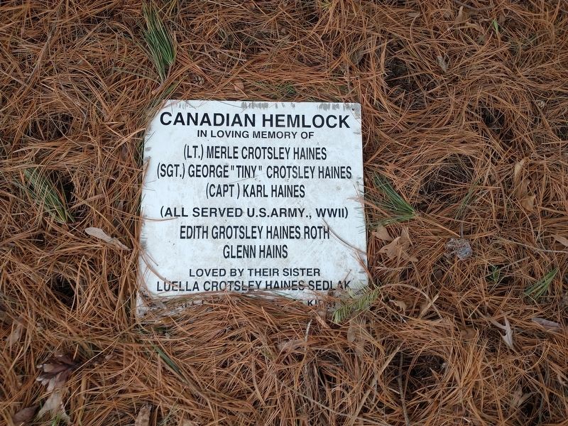 Canadian Hemlock Marker image. Click for full size.