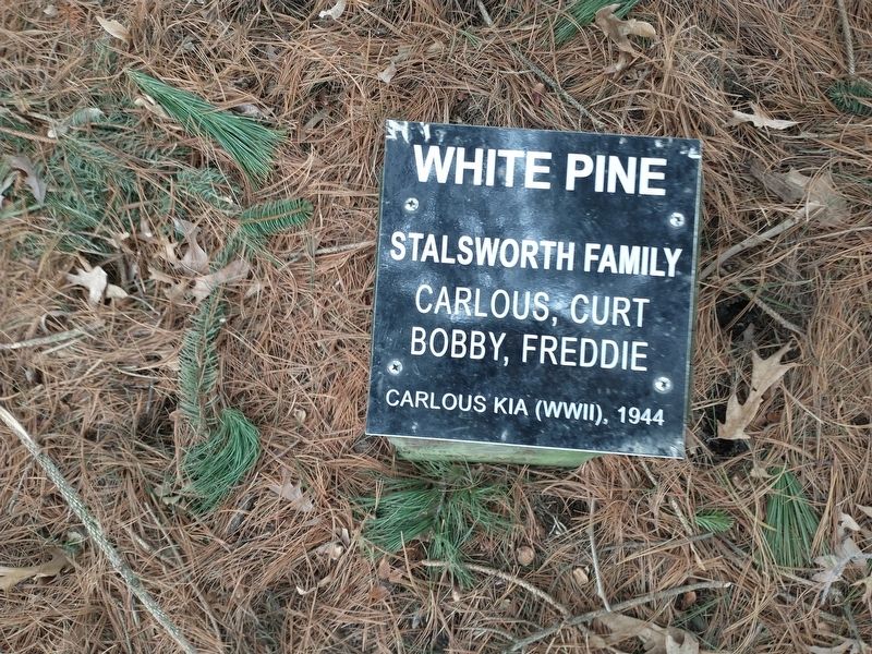 Stalsworth Family Marker image. Click for full size.