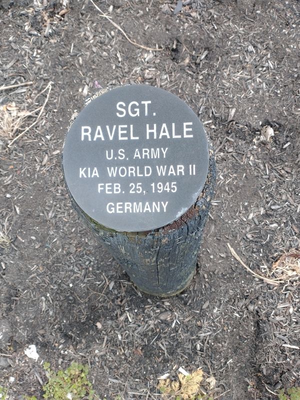 Sgt. Ravel Hale Marker image. Click for full size.