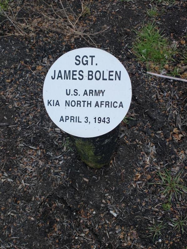 Sgt. James Bolen Marker image. Click for full size.