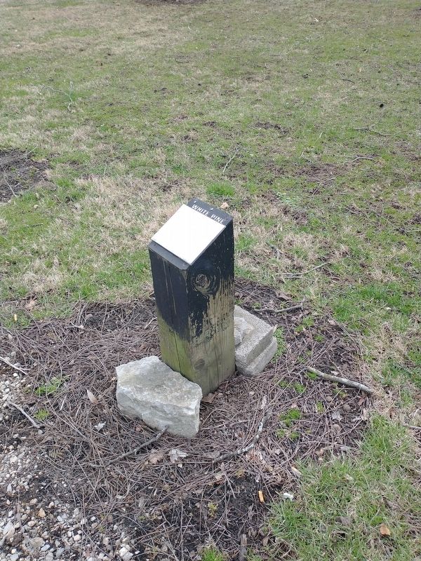 Claude Fuqua Marker. Click for full size. Claude Fuqua Marker image. Click for full size.