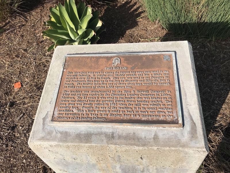 This Big Saw Marker image. Click for full size.