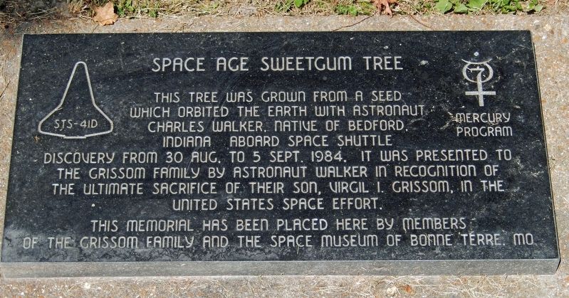 Space Age Sweetgum Tree Marker image. Click for full size.