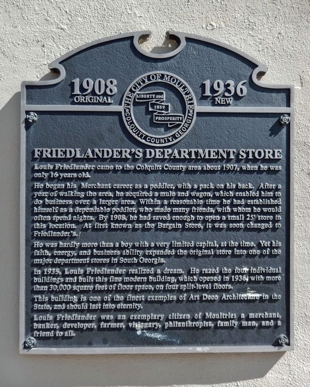 Friedlander's Department Store Marker image. Click for full size.