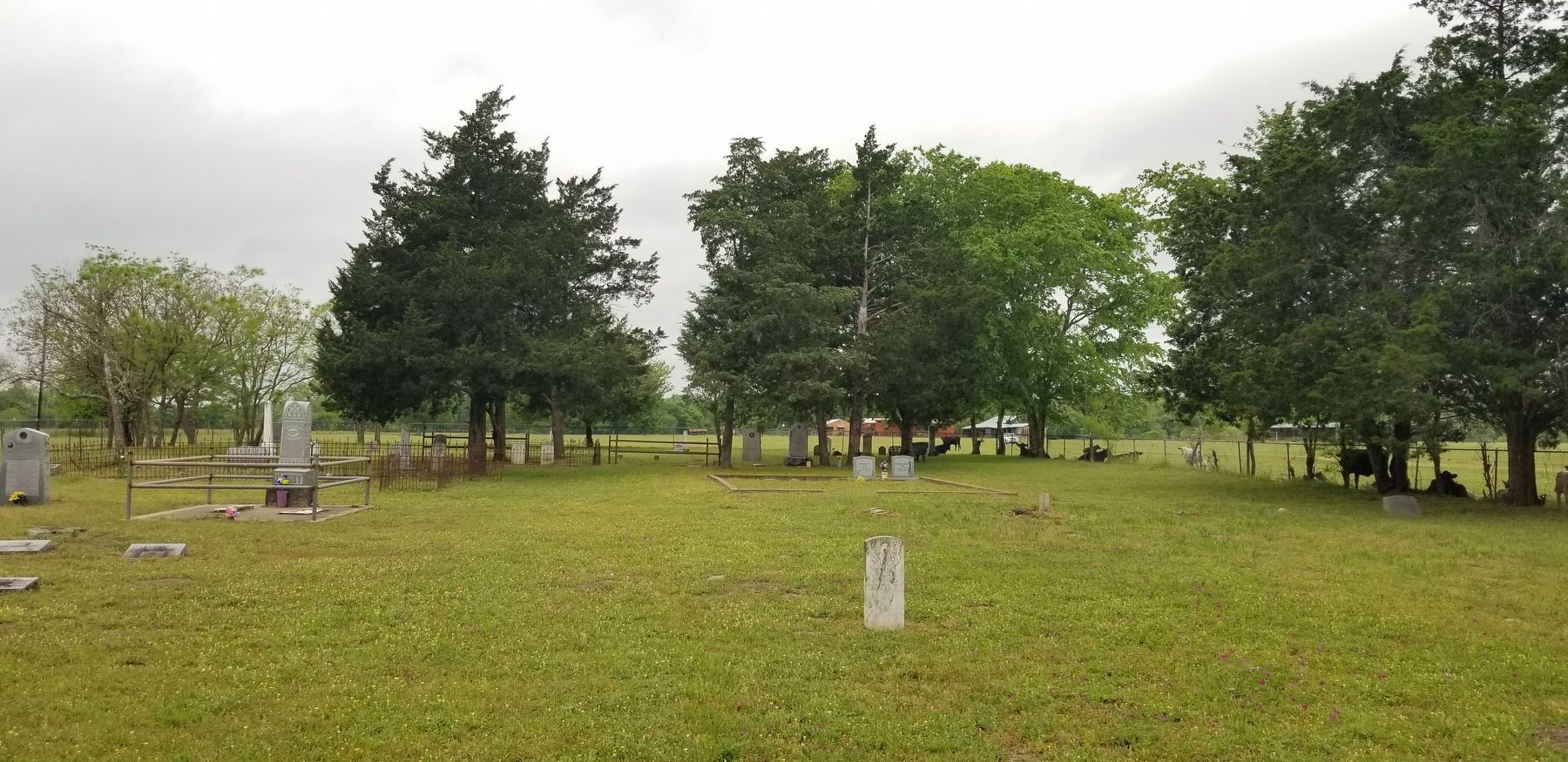 The Joseph C. Robinson Marker is at the back of the Woods Prairie Cemetery image. Click for full size.