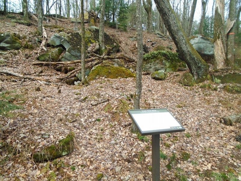 Ice Age Remnant Boulders and Marker image. Click for full size.