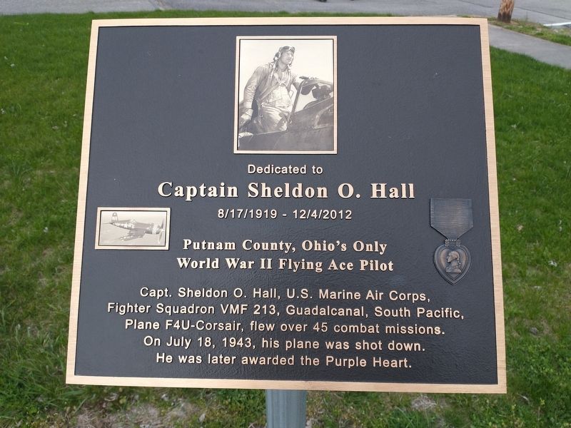 Captain Sheldon O. Hall Marker image. Click for full size.