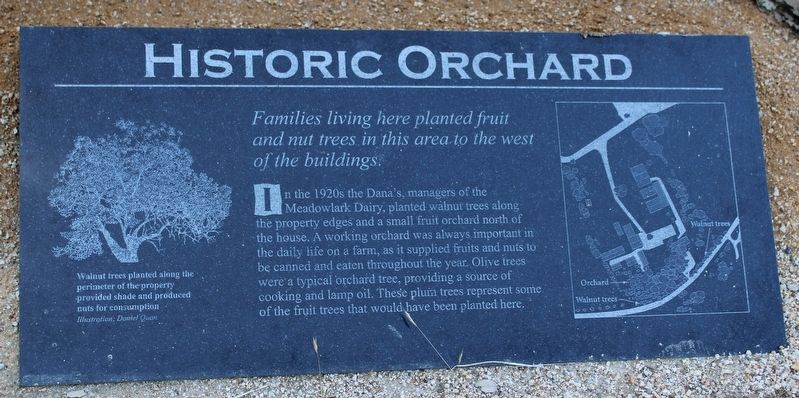 Meadowlark Dairy Historic Orchard Marker. Click for full size. Meadowlark Dairy Historic Orchard Marker image. Click for full size.