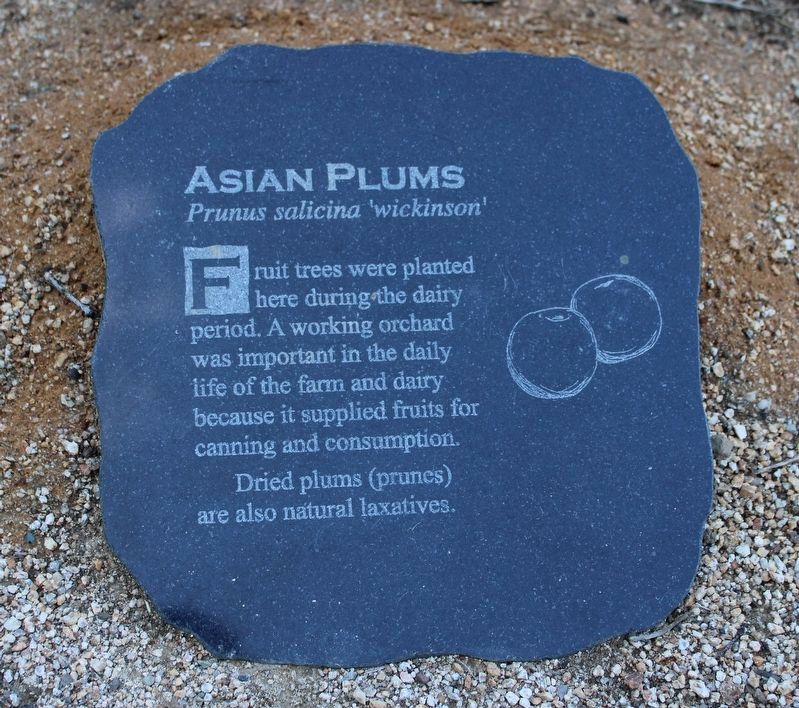 Next to the Marker. Click for full size. Next to the Marker image. Click for full size.