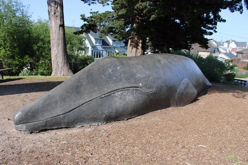 Whale Sculpture near the Museum image. Click for full size.