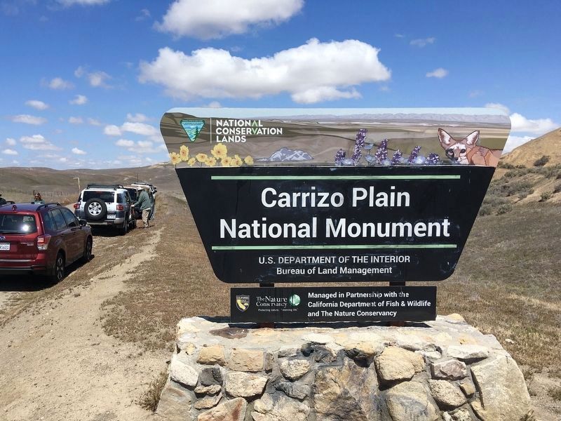 Carrizo Plain National Monument image. Click for full size.